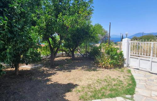 Haus Regina - Foto 18