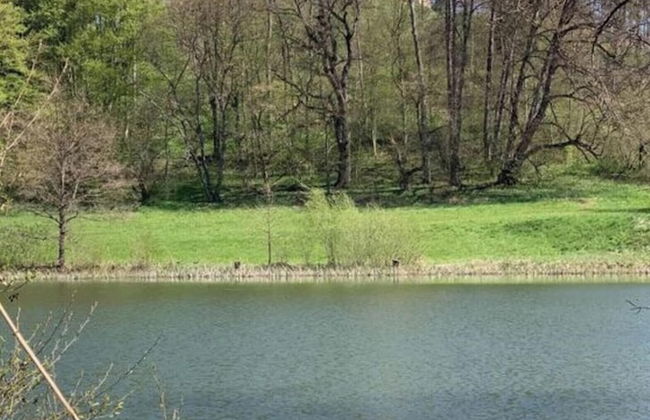 Gut Hornegg am Spiegelsee - Good Luise - Foto 16