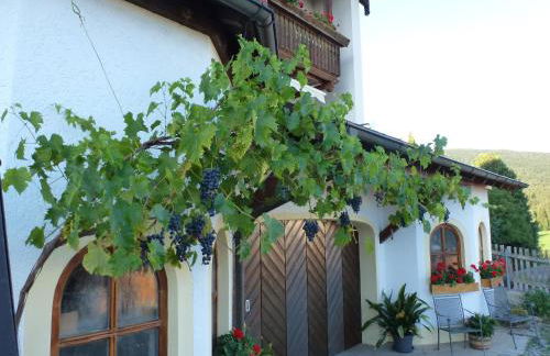 Ferienwohnungen Anneliese&Fritz Wagerer - Photo 16