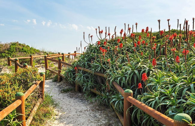 Marechale Way - Photo 39