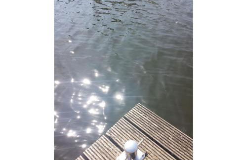 Holiday home in Güster with swimming pool - Foto 8