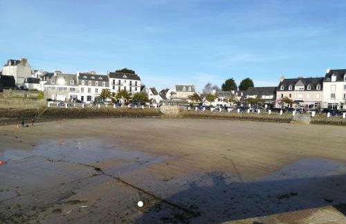 TY KERLUZ - Vue Mer et Plage à 80m - Photo 29