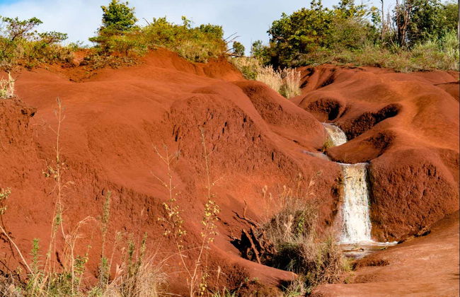 Waimea Canyon & Kōkeʻe State Park Day Trip - Foto 1
