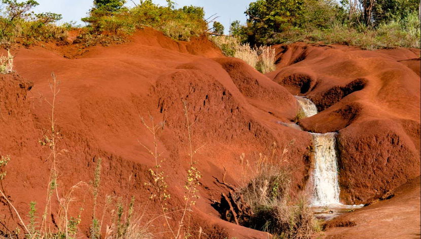 Waimea Canyon & Kōkeʻe State Park Day Trip - Foto 2