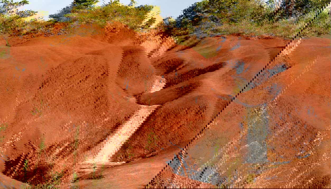 Waimea Canyon & Kōkeʻe State Park Day Trip - Foto 1