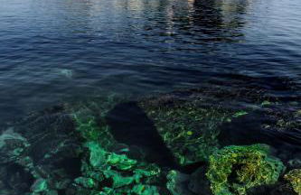 Scalinata del Nespolo Acitrezza - Foto 38