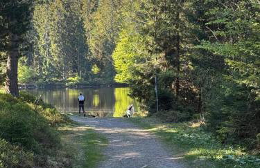 HAUS AM SEE - Natur Pur - Foto 7