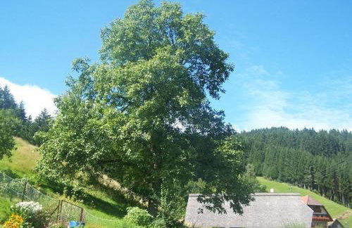 Gästehaus Brigitte Schoch - Foto 43