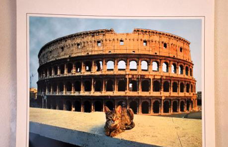 Locazione turistica di Alberto - Photo 11