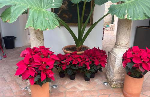 Corazón 23 - Foto 24