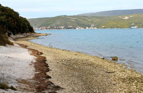 Holiday house with a parking space Celici, Central Istria - Sredisnja Istra - 7333 - Foto 5