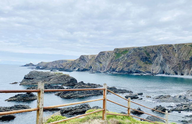 Holly Hayes House - Photo 54