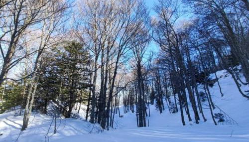 Mailh- Massibé 1 chambre 5 pers draps serviettes inclus parking près du ski tout confort - Foto 4