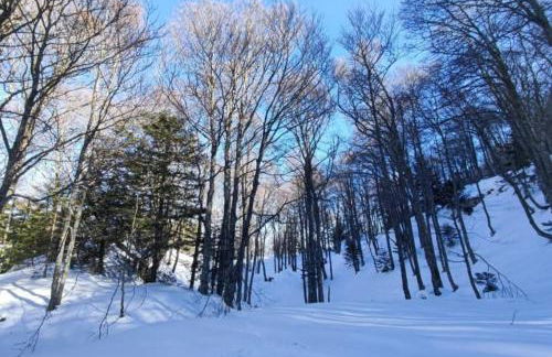 Mailh- Massibé 1 chambre 5 pers draps serviettes inclus parking près du ski tout confort - Foto 4