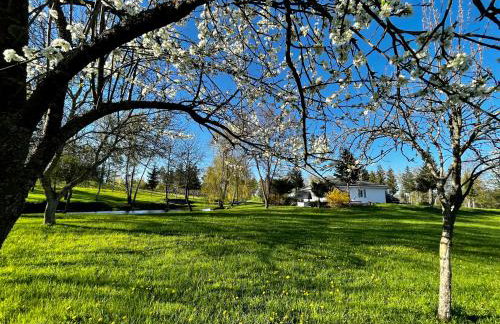 Lake House Family - Foto 10