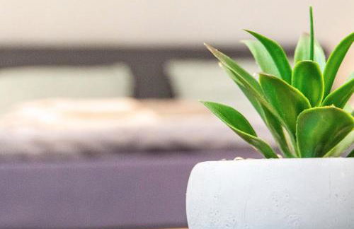 Fewo Wilhelmshaven Langewerth - Foto 14