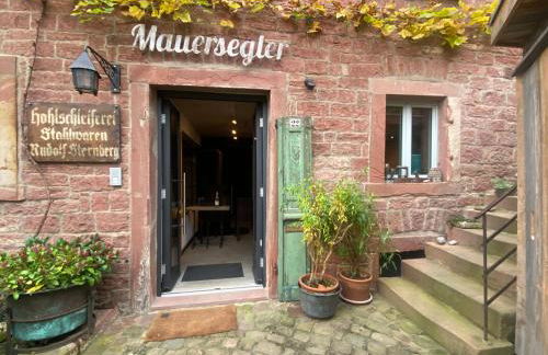 Mauersegler - Foto 1