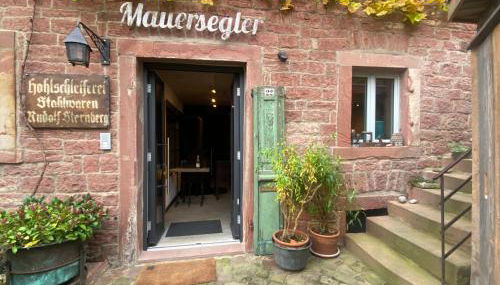 Mauersegler - Foto 1