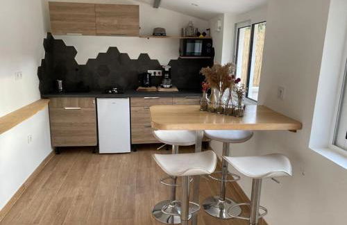 Micro maison Lyon 8/ Parking / Terrain de pétanque - Photo 15