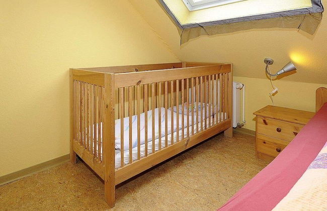 Reiterhof Maack - Foto 41