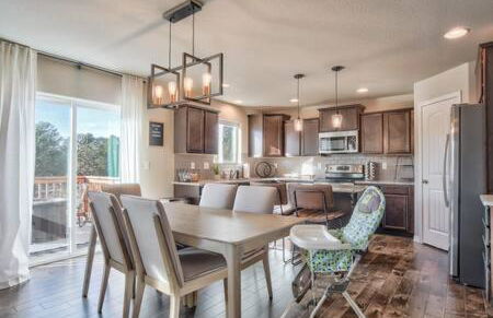 _Entire Home_Game Room_Basement_FirePit_ - Foto 14