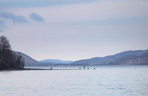 MacKintosh - Foto 19