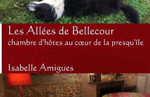 Les Allées de Bellecour - Photo 41