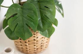 Stunning Riverside View Apartment, near Canary Wharf & O2 - Photo 34