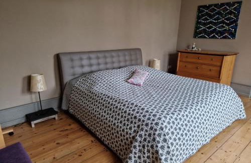 Kleine Ferienwohnung in Steffenshagen mit Garten - Foto 12