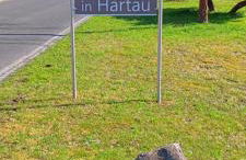 Ferienhaus Töpferblick-Hartau - Foto 4