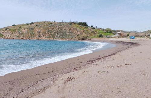 White lilies the house of gourmet flavours - Foto 26