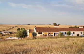 Monte do Arneiro - Foto 72