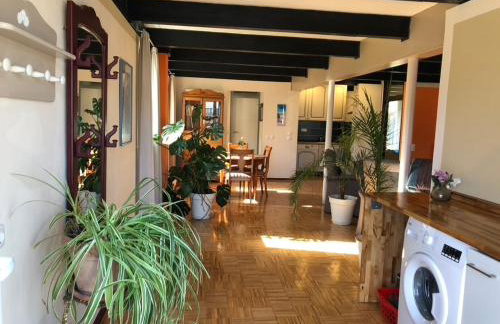 Heikendorf Große Ferienwohnung mit Terrasse - Foto 12