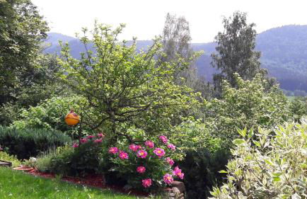 Ferienwohnung Panoramablick 1 - Foto 15