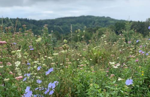 U Ewy pod Brzozami - Foto 34