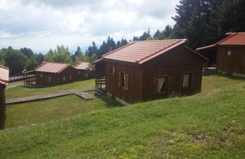 Livadaki Village - Δασικό Χωριό Λιβαδάκι - Foto 56