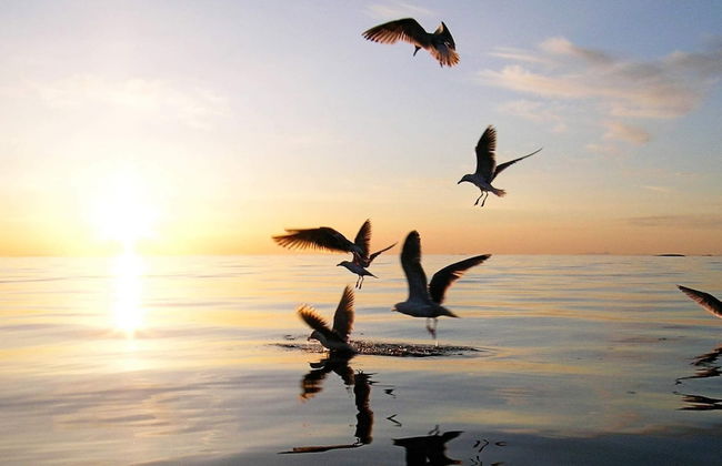 11 Person Holiday Home in Kolvereid - Foto 4