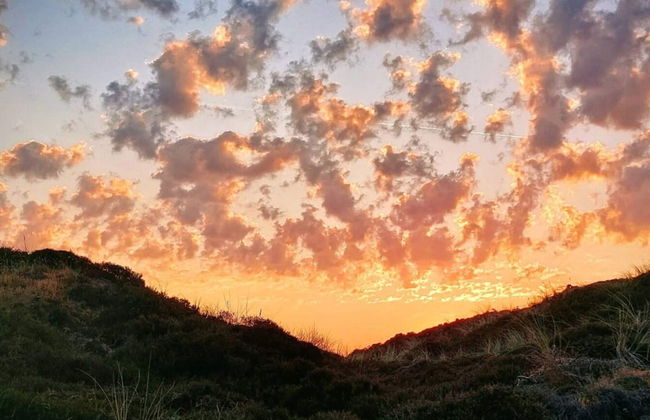 Holiday Home in Henne - Foto 6