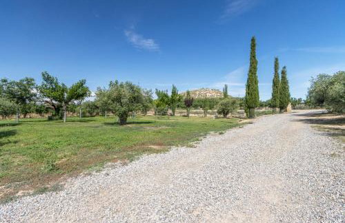 Mas de l' Anneta - Foto 25