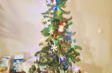 Maison avec jardin aux Cabannes - Ariège - Foto 18