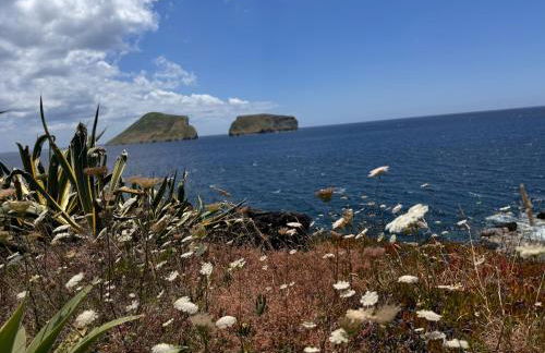 Casa Beira Mar - Photo 25