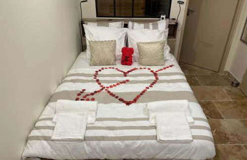 Studio avec jardin privatif - Foto 10