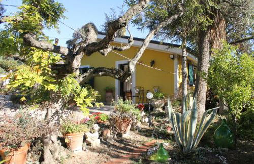 Bloemenhuis - Foto 34