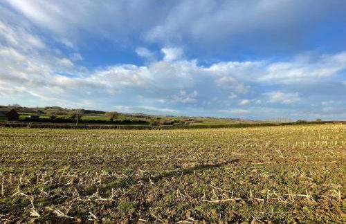 The Little Beehive - Photo 35