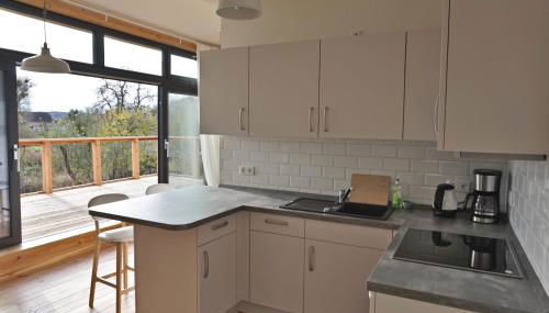 FeWo OG am Fluss mit Balkon - ein himmlischer Ausblick - Foto 3, stove, dishwasher