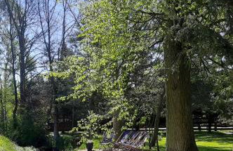 Karkonoska Przystań Motocyklowa u Lisa - Foto 25