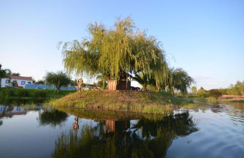 Herdade do Sardanito da Frente - Foto 8