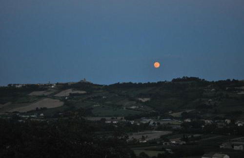 Agriturismo MonteMaggio - Foto 40