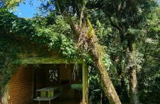 Memora Guesthouse Bateias - Casa Inteira e quartos em chácara - Photo 8