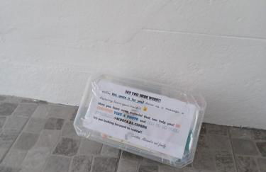 AL Boca da Canada - Photo 47